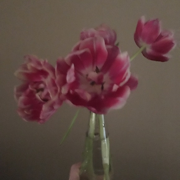 maggie_may1234
